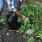 Flood Bags