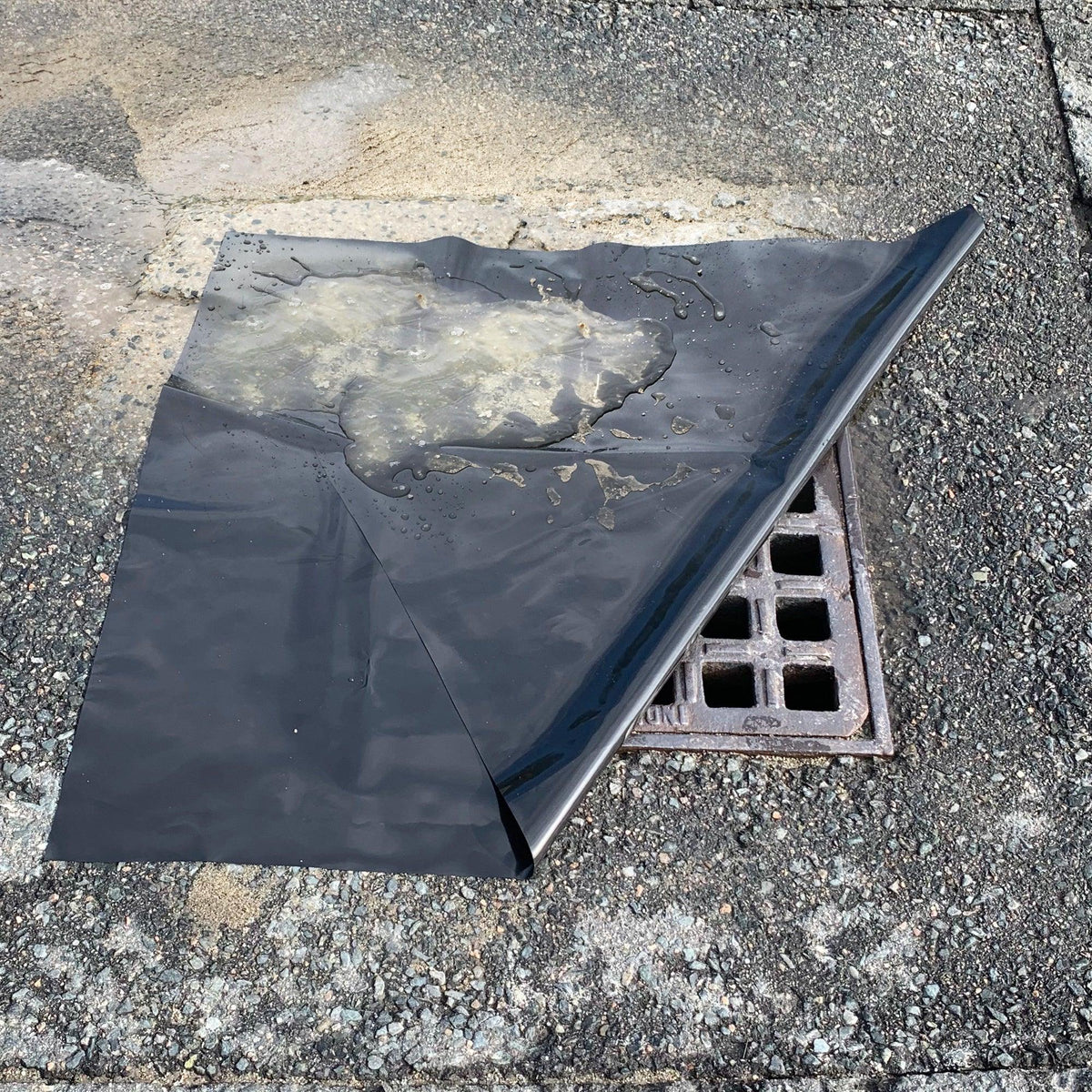 Drain Seals