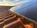 SolaTrim - Solar Panel Pest Barrier
