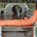 Water Force